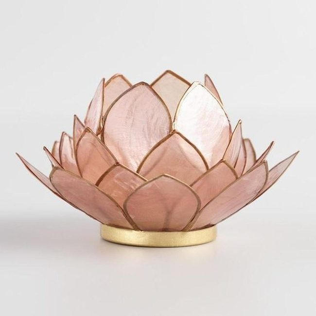 Translucent Pink Petals With Gold Edges