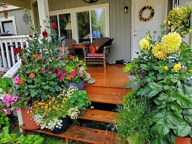 Deep Blue And Orange Porch Planters