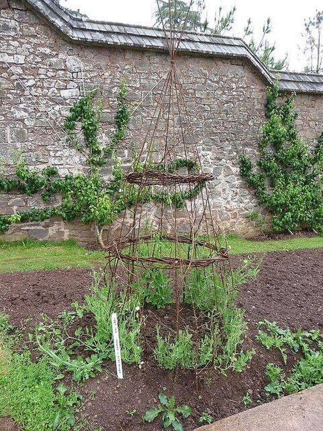 Twig Pyramid Climbing Frame