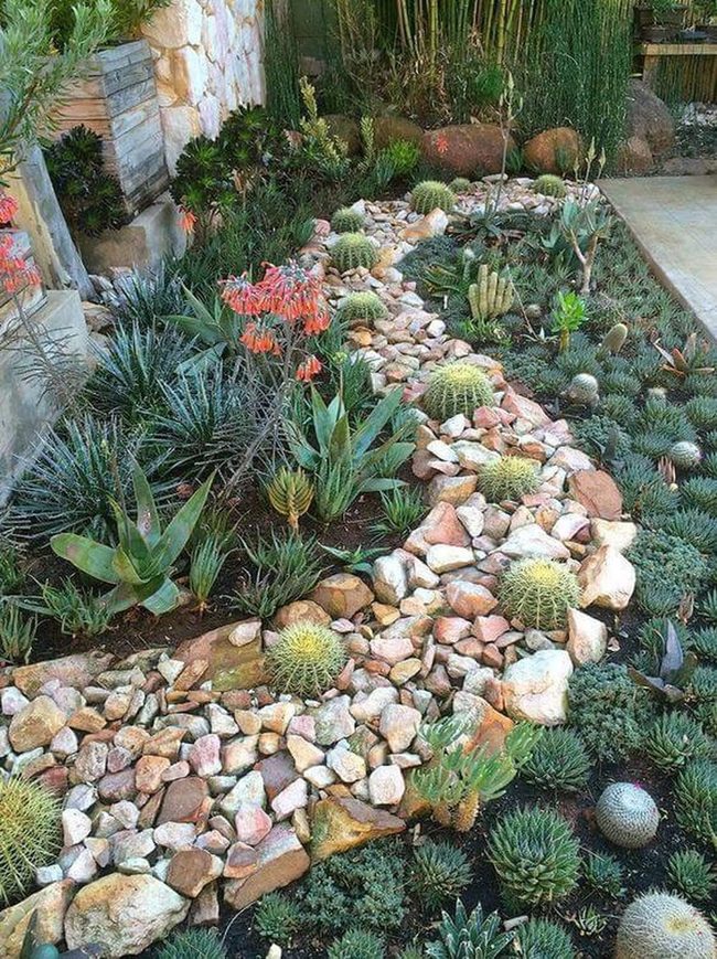 Stone And Succulent Low Maintenance
