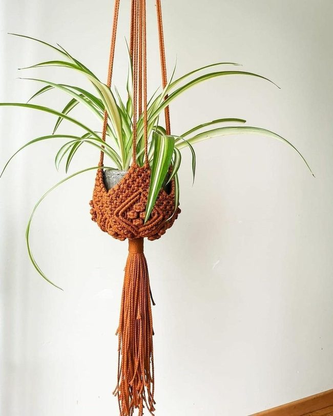 Hand-Tied Knot Statements