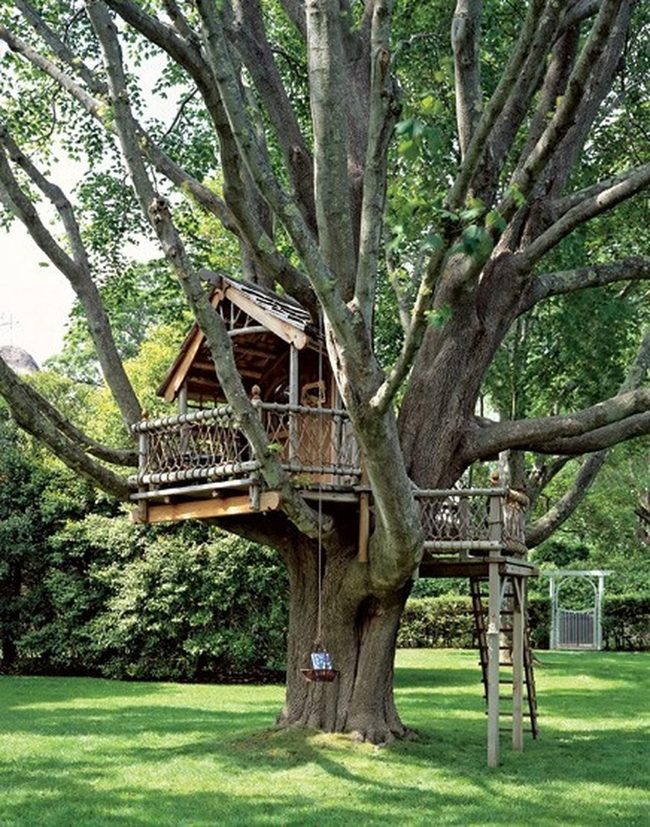 Wooden Treehouse Green Branches