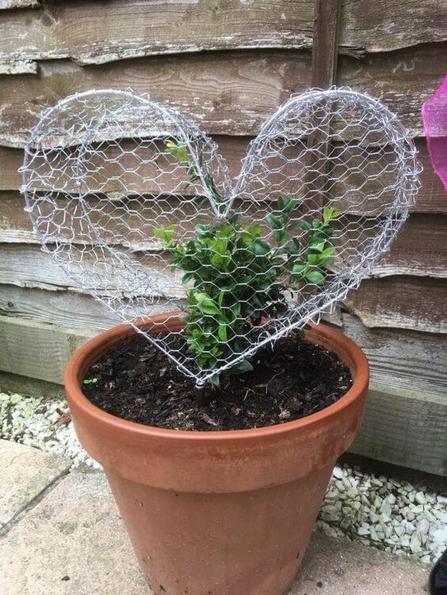 Heart Wire Frame For Climbing Plants