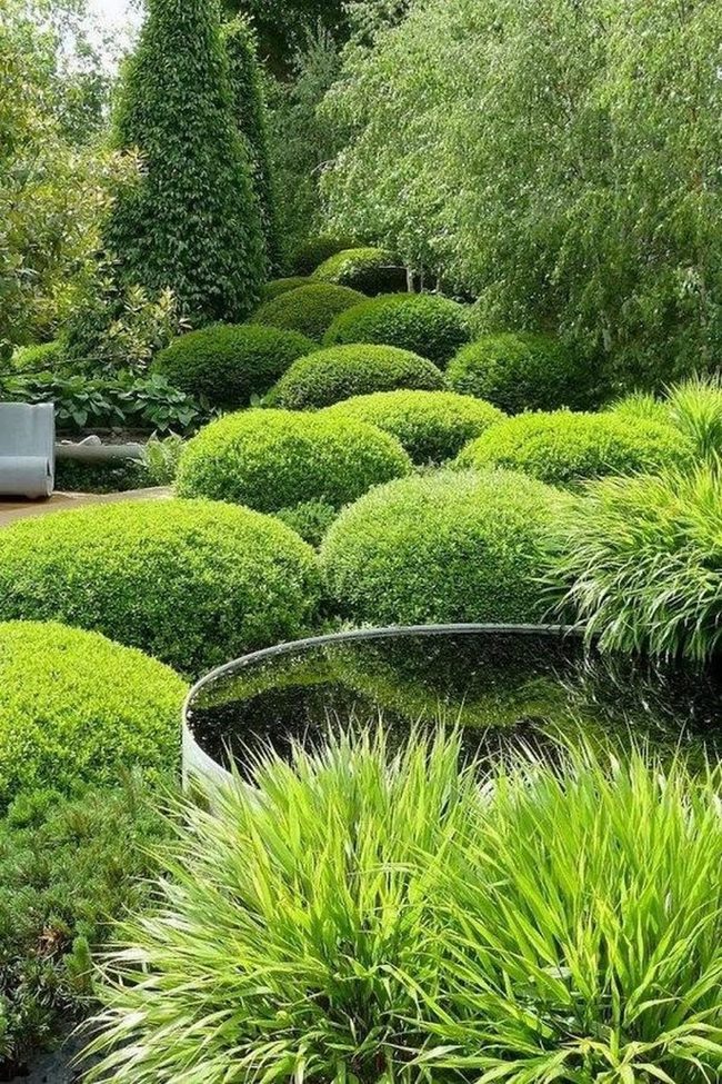 Verdant Garden With Hidden White Bench
