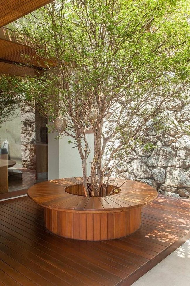 Tree Circled Wooden Gathering Benches