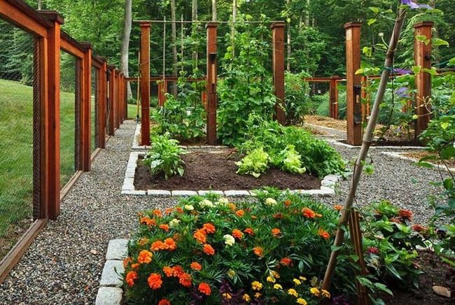 Fenced Garden Beds With Protective Pebbles