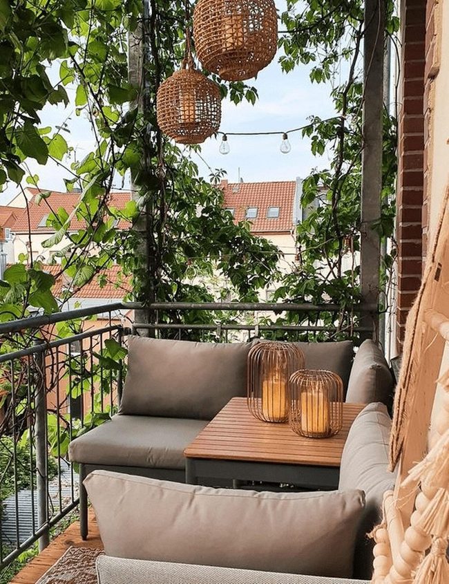 Green Vines And Amber Lantern Light