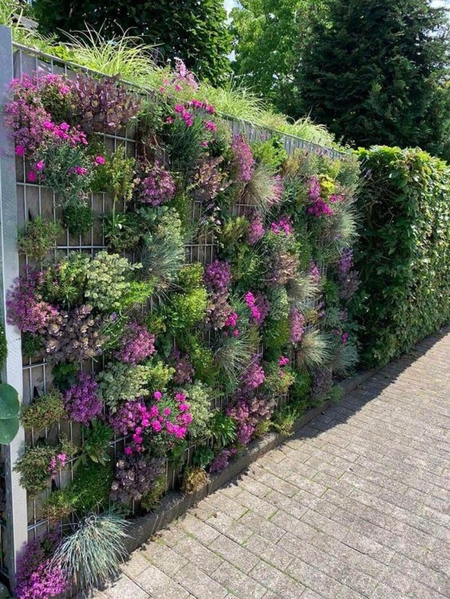 Cascading Herbs And Flowers Wall