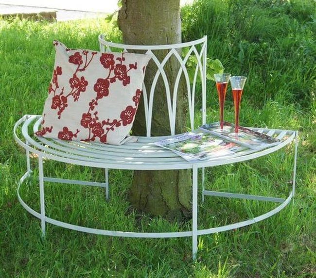 Curved Bench Under Dappled Canopy