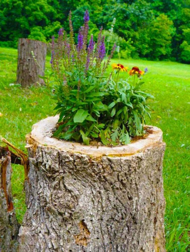 Hollow Stump Flower Planter