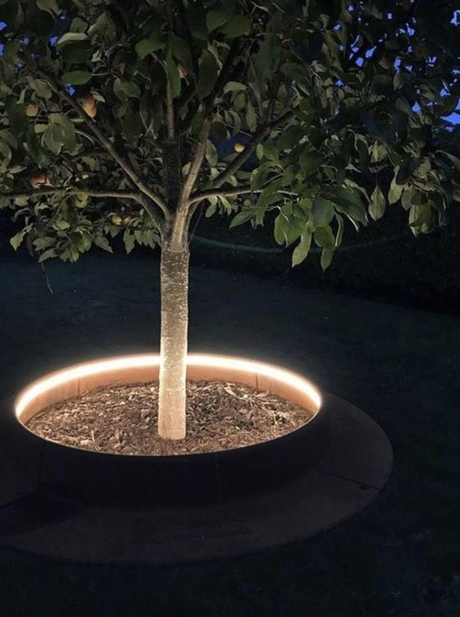 Glowing Tree Bench Circles