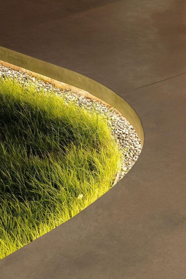 Curved Paths, Shadowed Light