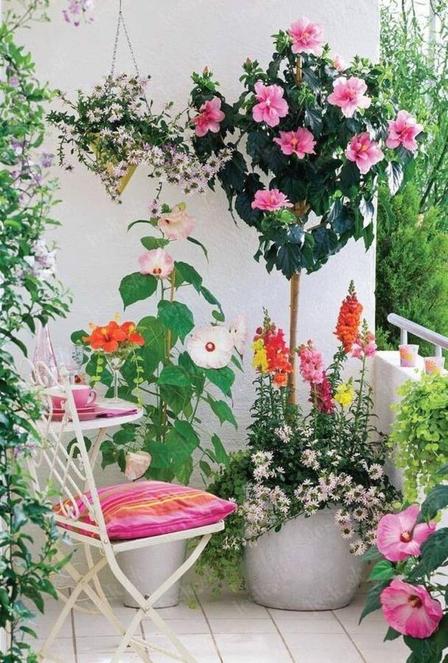 Pink Blossom Garden Retreat
