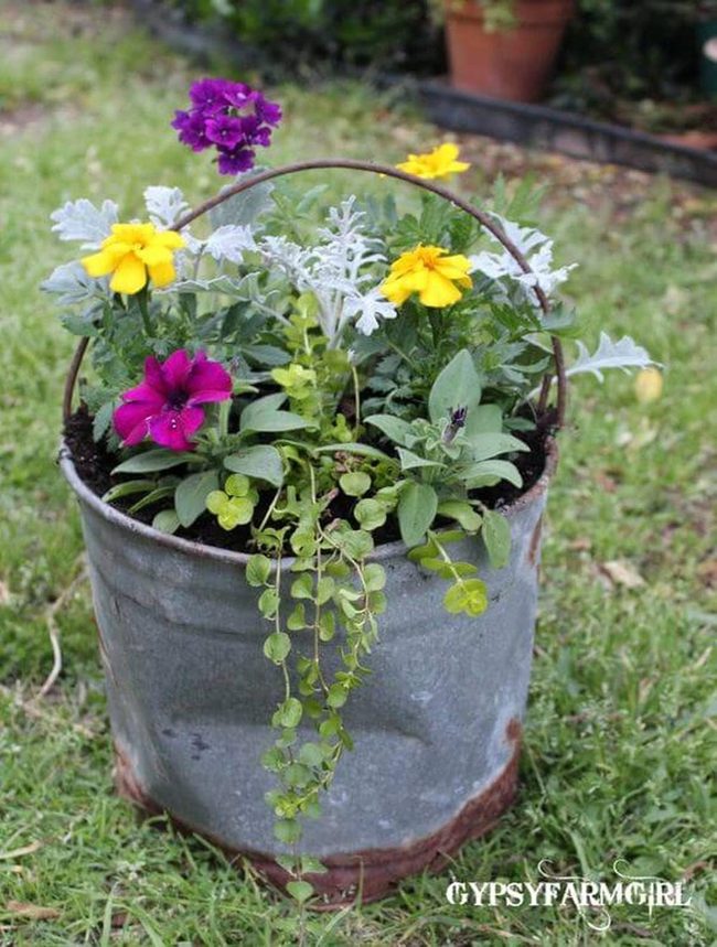 Galvanized Metal Spilling With Flowers