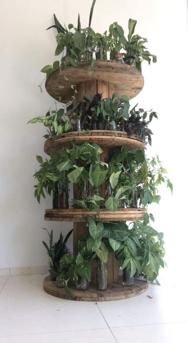 Glass Jar Plants On Circular Shelves