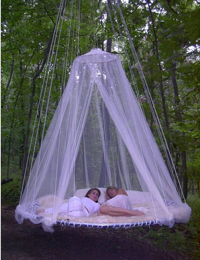 Suspended Nest Among Towering Trees