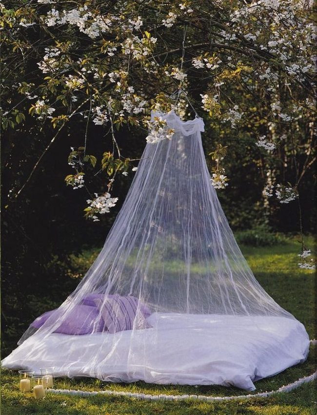 White Canopy Bed Under Blooming Branches