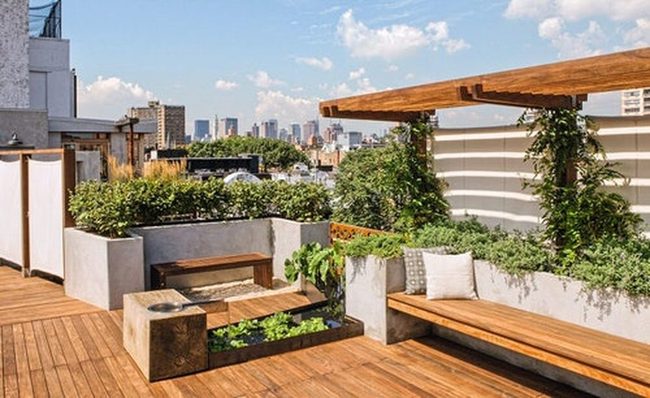 Concrete Planters Meet Urban Water