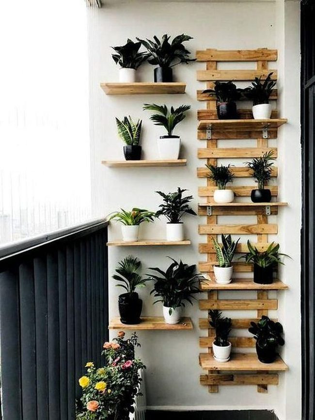Green Walls On Floating Wood