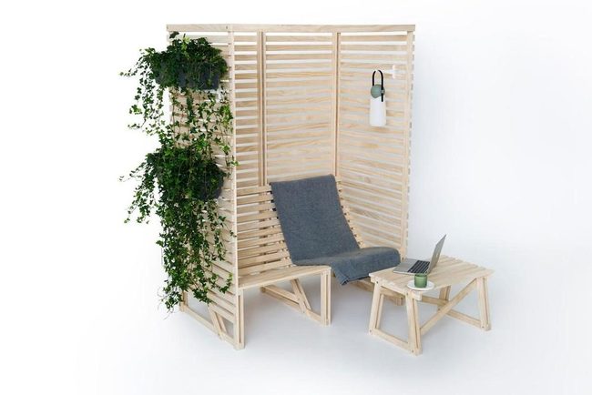 Light Wood Walls With Hanging Plants