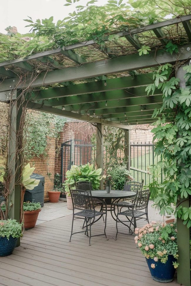 Living Vine Pergola Canopy