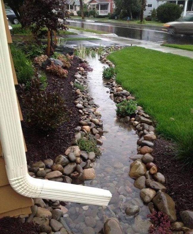 Stone-Lined Native Rain Garden