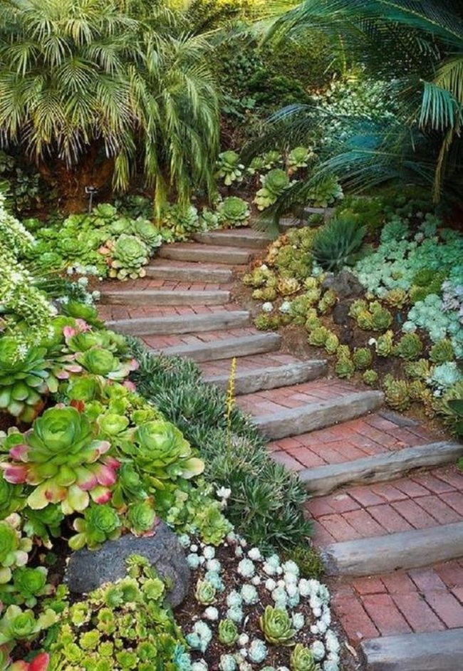 Brick Pathways Through Tropical Gardens