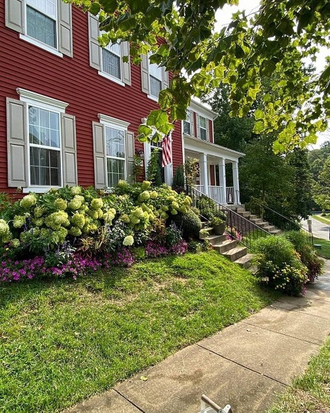 Purple And Pink Foundation Borders