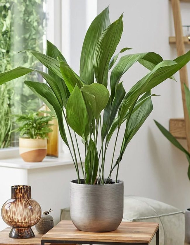 Silver Metallic Cast Iron Garden