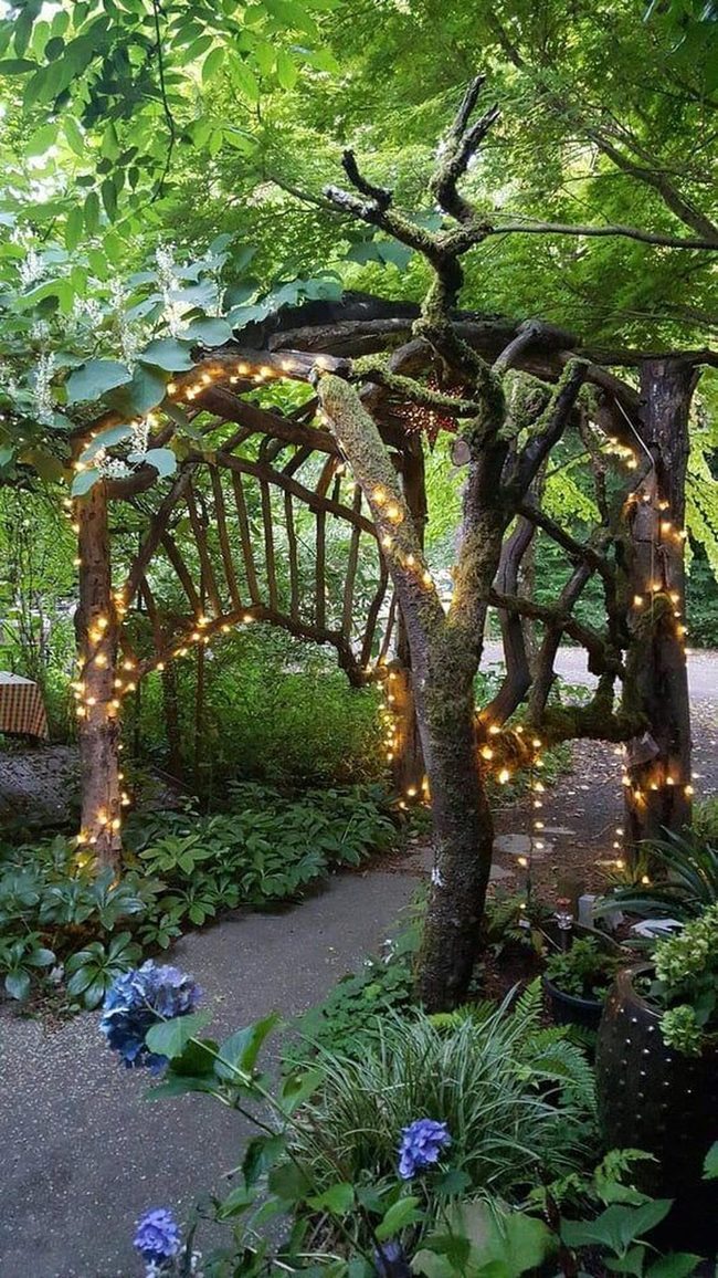Wooden Archway With Climbing Vines