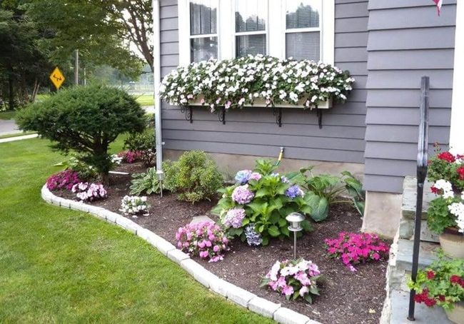 Colorful Flowers Meet Stone Pathways