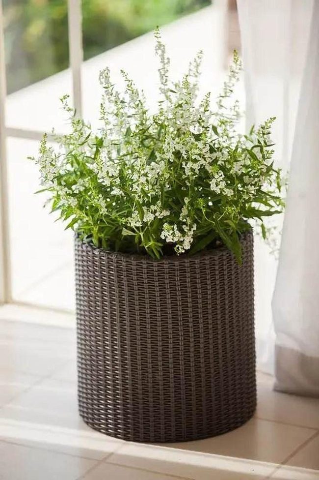 Natural Rattan Woven Plant Pots