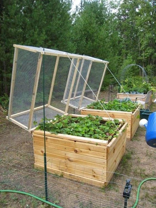 Covered Garden Beds Year-Round Growing