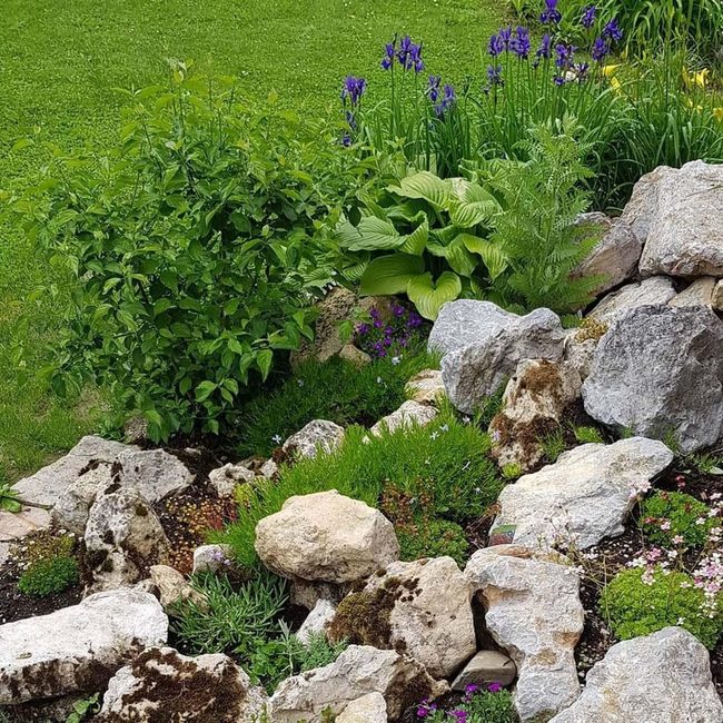 Stone And Gravel Garden Design