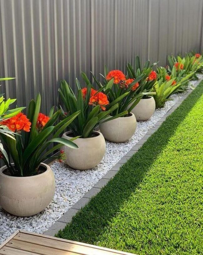 Colorful Blooms Among Smooth Stones