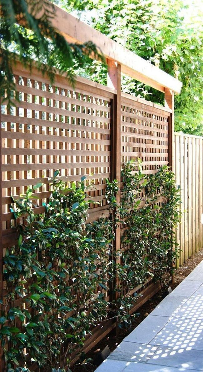 Light-Filtered Wood Lattice Garden