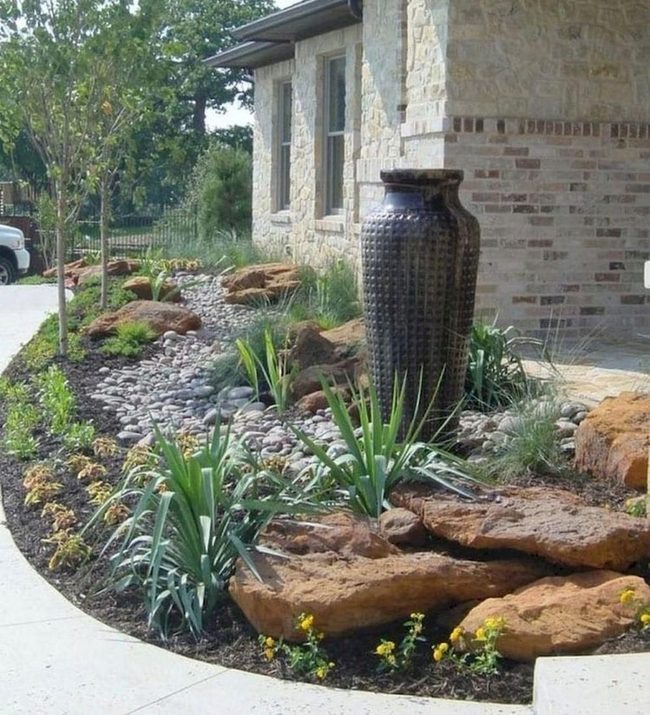 Desert Plant Front Yard Thriving