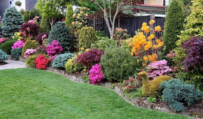 Blooming Front Yard Privacy Screen