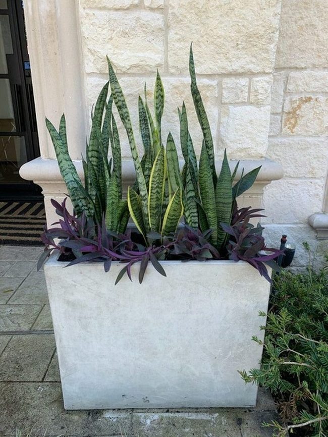 Purple Hearts Meet Striped Green