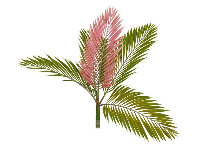 Red Fronds Meet Green Leaves