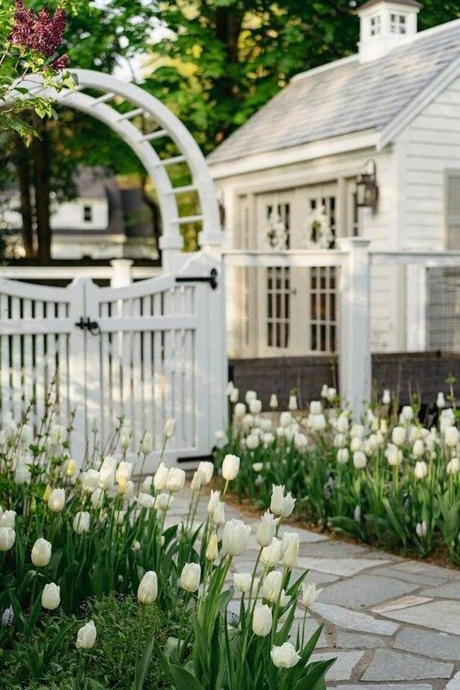 Tulip Lined Entrance Path