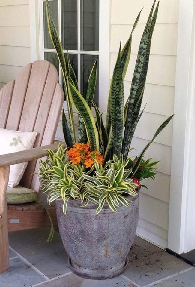 Orange Stars Meet Sculptural Green
