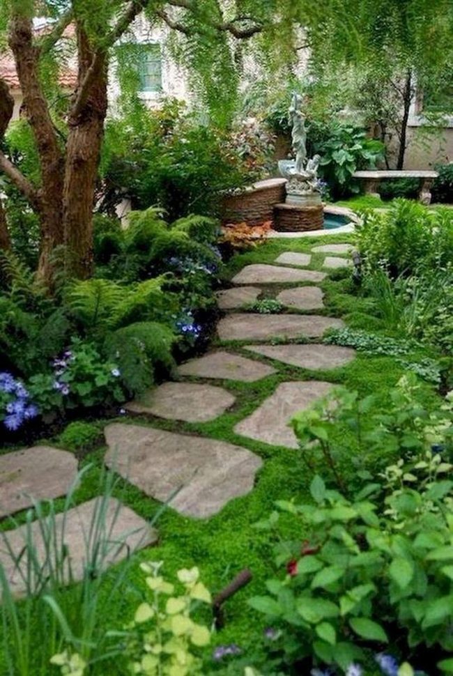 Stone Pathways Through Woodland Shade
