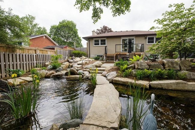 Stepping Stones Through Water Gardens