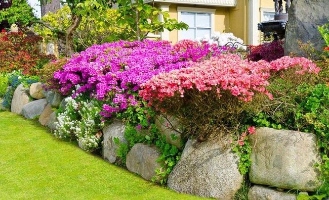Stone Bordered Flower Bed Brilliance
