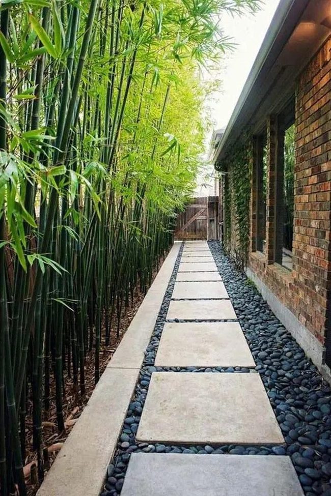 Brick Pathway Through Bamboo Green