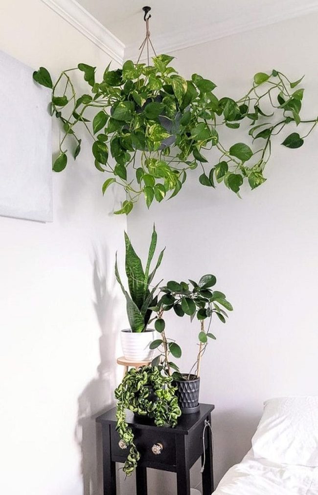 Cascading Green Ceiling Curtain