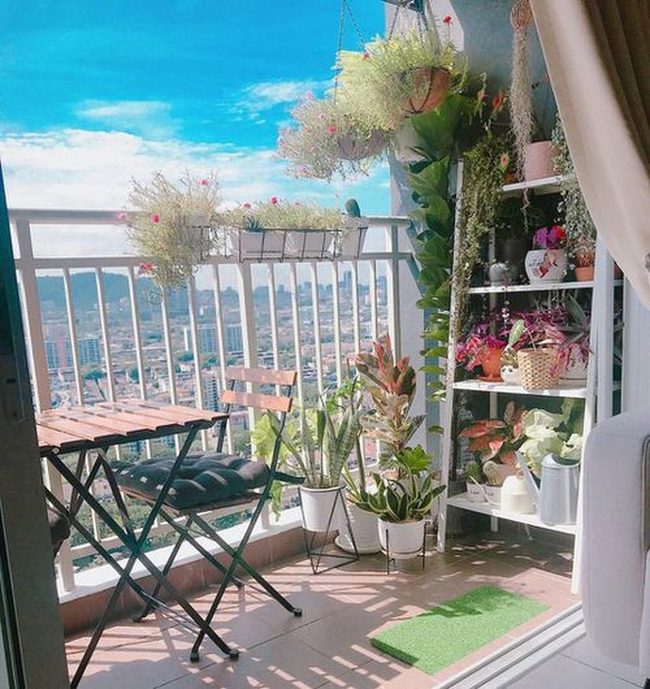 Vertical Garden Small Space Transformation