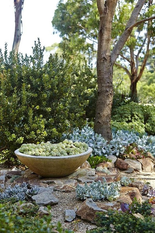 Stone Basin Garden Focal Point