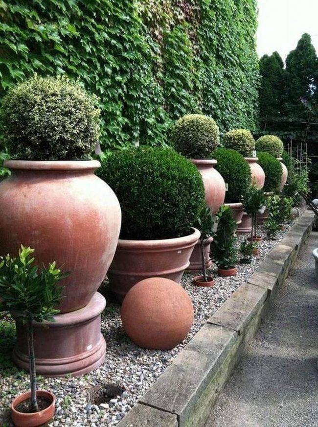 Clay Pots Frame Living Green Wall